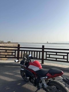 Voge 300RR - фото 1