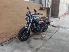 Cyclone RE600 560 cc - фото 1