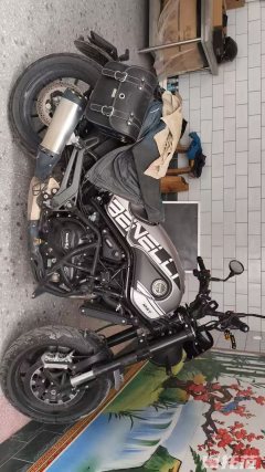 Benelli Leoncino 500 - фото 1