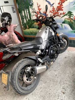 Benelli Leoncino 500 - фото 2