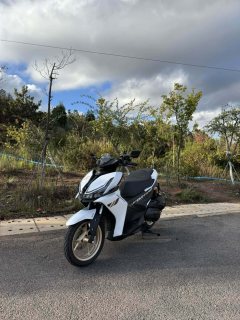 QJMOTOR 150S - фото 5