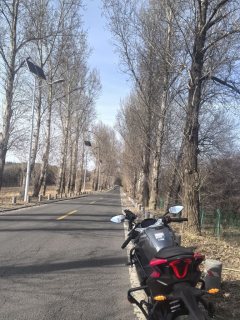 CFMOTO 250SR - фото 2