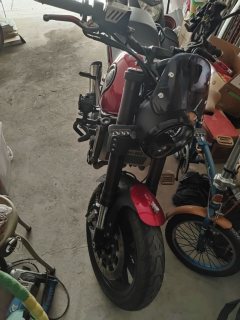 Benelli Leoncino 500 - фото 3