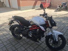 Benelli TNT 300 / BN 302S - фото 2