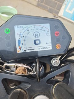 Benelli TNT 300 / BN 302S - фото 9