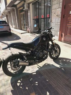 Benelli Leoncino 500 - фото 3