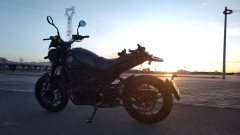 Benelli Leoncino 500 - фото 4