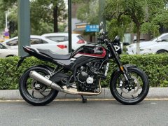 Zhangxue Motorcycles 500F - фото 2