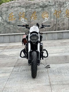 Cyclone RE600 560 cc - фото 4