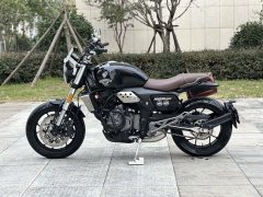 Cyclone RE600 560 cc - фото 8