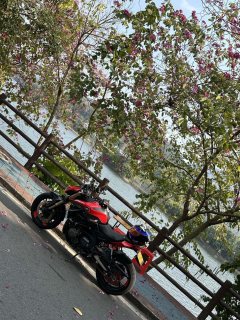QJMOTOR Chaser 600 - фото 3