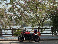 QJMOTOR Chaser 600 - фото 4