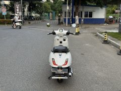 Sundiro Honda NS150LA - фото 6