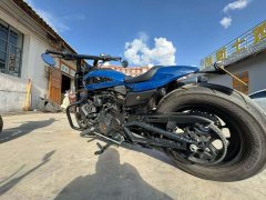 Harley-Davidson Sportster S 1250 cc - фото 5