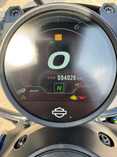 Harley-Davidson Sportster S 1250 cc - фото 9