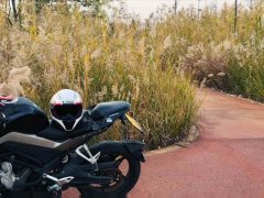 CFMOTO 250NK - фото 1