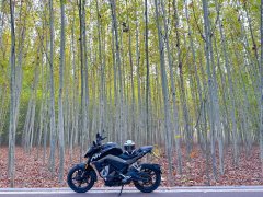 CFMOTO 250NK - фото 3