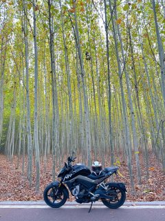 CFMOTO 250NK - фото 4