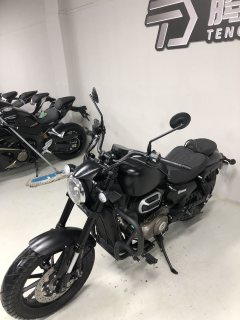 QJMOTOR 250 - фото 6