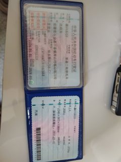 Haojue Suzuki DL250 - фото 1