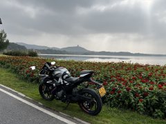 CFMOTO 250SR - фото 1