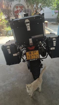 Benelli TRK552 550 cc - фото 2