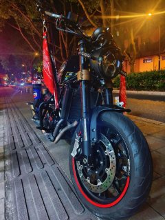 Benelli Leoncino 500 - фото 2