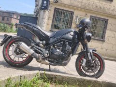 Benelli Leoncino 500 - фото 3