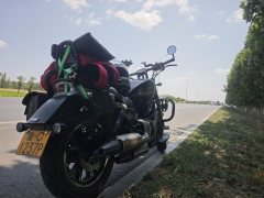 QJMOTOR Flash 350 - фото 3