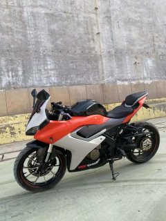 QJMOTOR SRK 250 - фото 2
