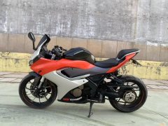 QJMOTOR SRK 250 - фото 7