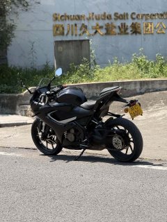 QJMOTOR SRK 250 - фото 2