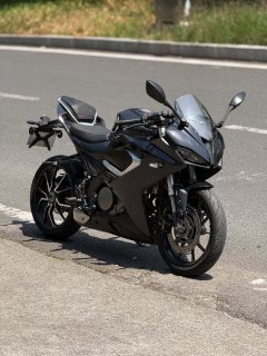 QJMOTOR SRK 250 - фото 5