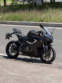 QJMOTOR SRK 250 - фото 6