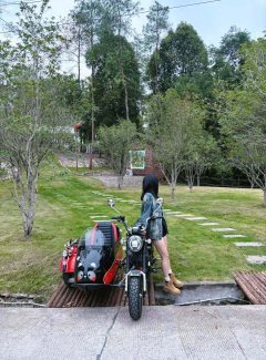 Stoner Monkey 125 Sidecar - фото 2