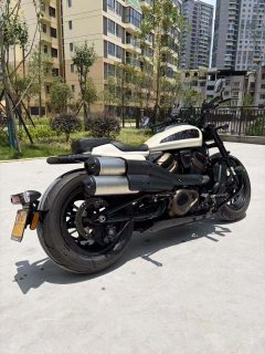 Harley-Davidson Sportster S 1250 cc - фото 6