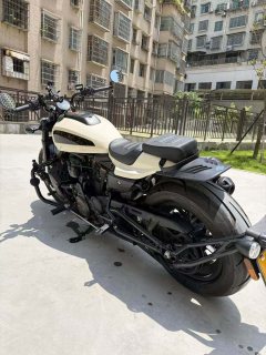 Harley-Davidson Sportster S 1250 cc - фото 7
