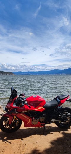 QJMOTOR 600 - фото 2