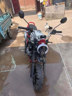 Zongshen Little Bear 150 cc - фото 1