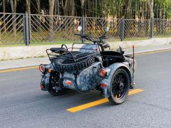 Changjiang CJ 650B - фото 3