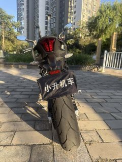 Kayo 450R - фото 5