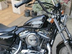 SHINERAY 1200 - фото 1