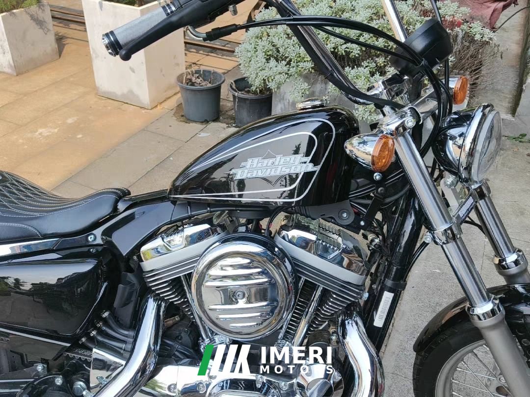 2025 SHINERAY 1200