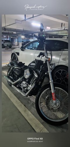 SHINERAY 1200 - фото 3