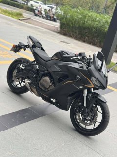 QJMOTOR SRK 250 - фото 1
