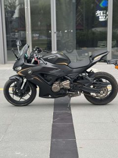 QJMOTOR SRK 250 - фото 3