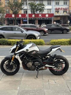 QJMOTOR Chaser 600 - фото 5