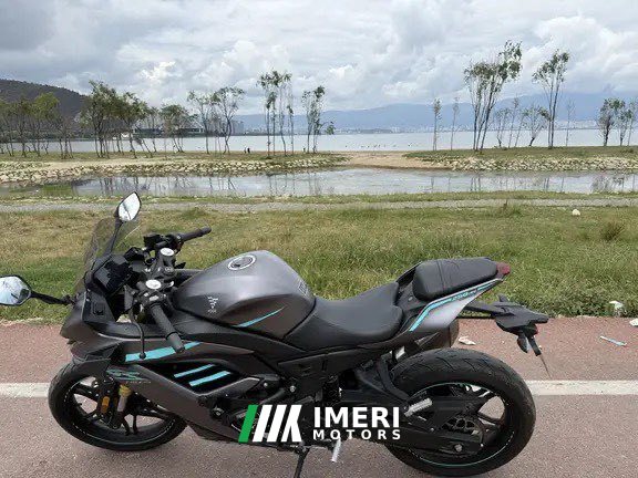 2024 Voge 250RR