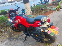 QJMOTOR 150 cc - фото 1