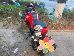QJMOTOR 150 cc - фото 2